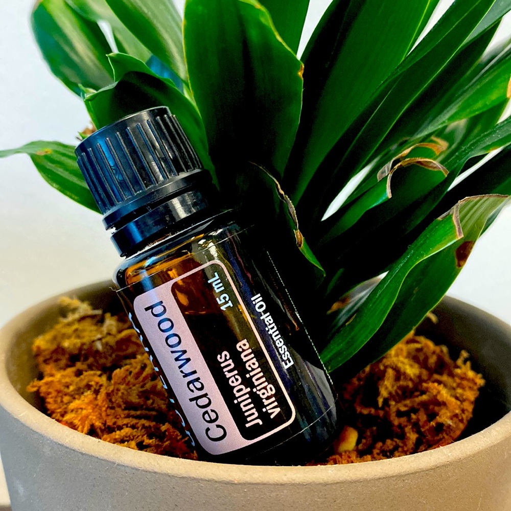 Cedarwood essence oil - dōTERRA